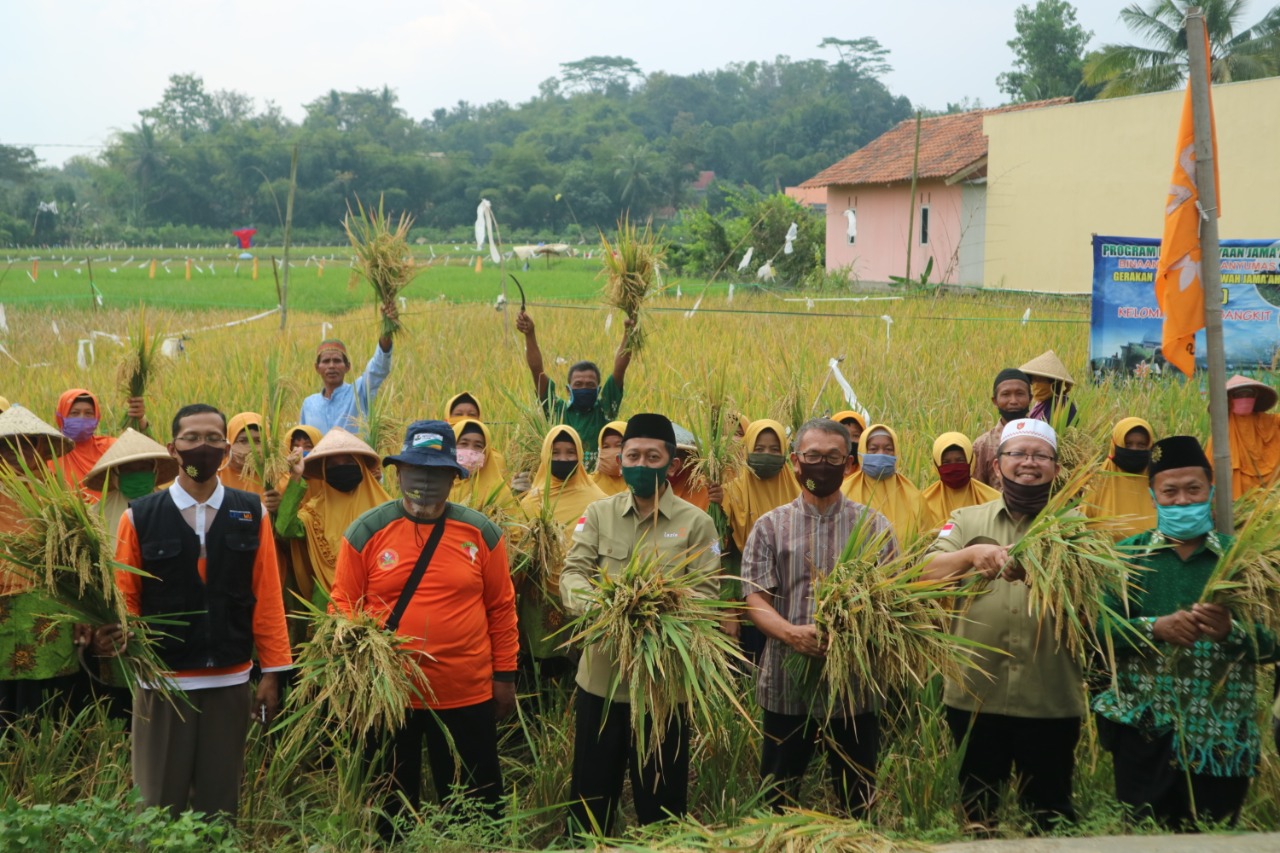 WhatsApp-Image-2020-07-06-at-10.58.27